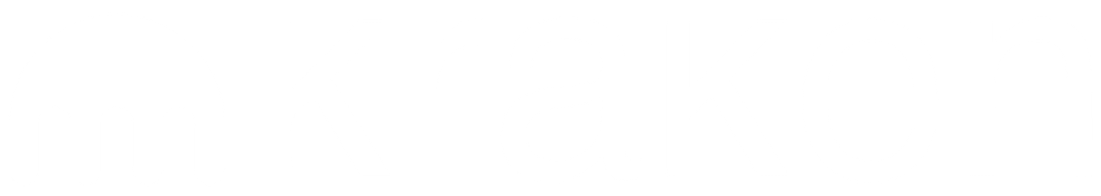 Partner 6