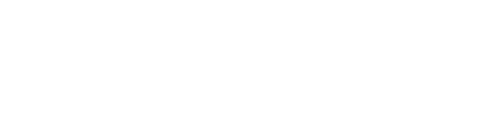 Partner 5